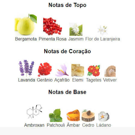 Pirâmide Olfativa (Nosso Produto)